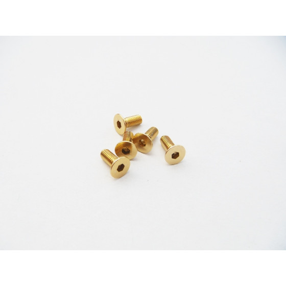 Hiro Seiko  Alloy Hex Socket Flat Head Screw M3x15  (4pcs | Gold)