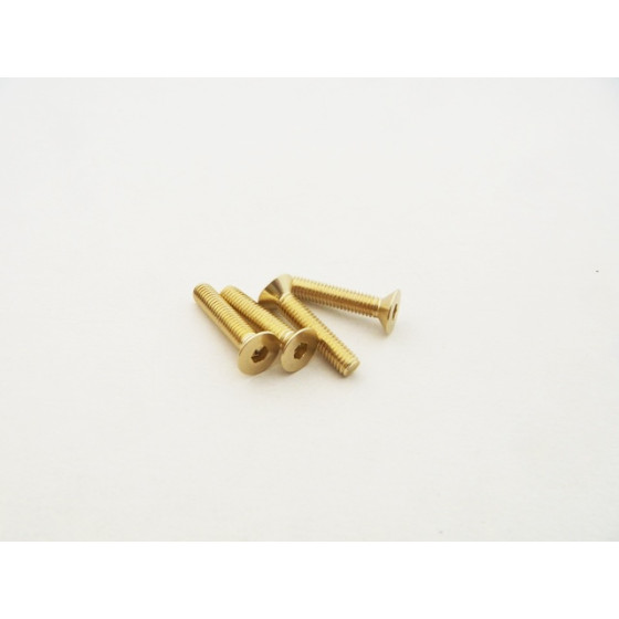 Hiro Seiko  Alloy Hex Socket Flat Head Screw M3x18  (4pcs | Gold)