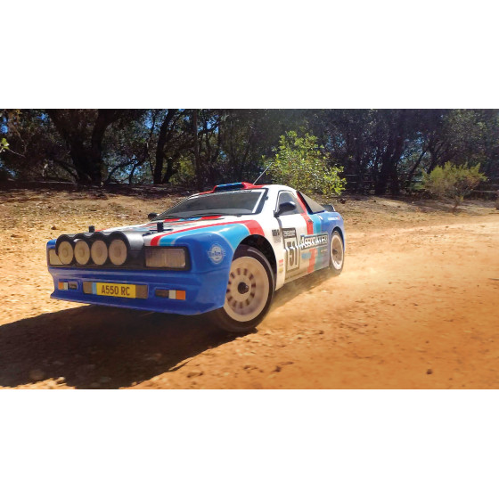 Team Associated Apex2 Sport, A550 Rally Car RTR