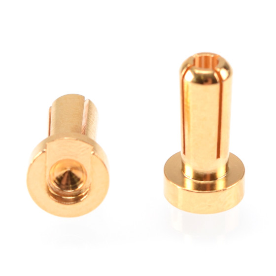 RUDDOG 4mm Gold Plug Male 12mm (2pcs)