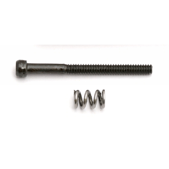 Team Associated Motor Clamp Spring and 4-40 x 1.25 in Screw