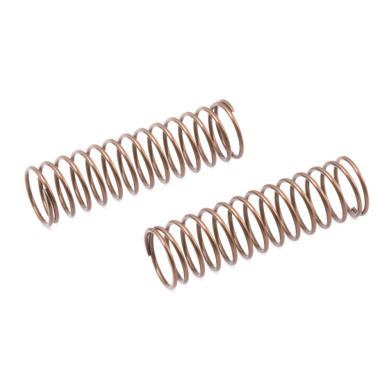 Team Associated Front Springs (82)