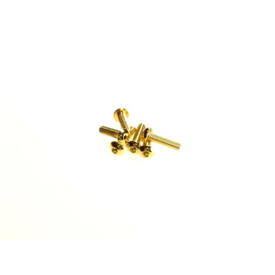 Hiro Seiko Hex Socket Button Head Screw M3x6  [24K_Gold] ( 6 pcs)