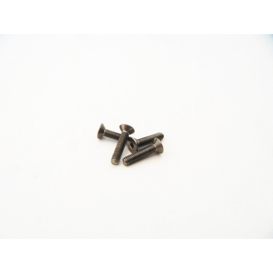 Hiro Seiko Titanium Hex Socket Flat Head Screw M2.5x10mm (4pcs)
