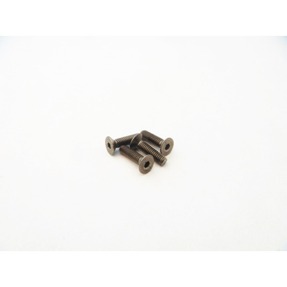 Hiro Seiko Titanium Hex Socket Flat Head Screw M2.5x12mm (4pcs)